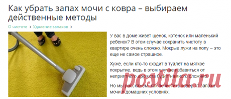 Как вывести запах мочи с ковра – эффективные способы
