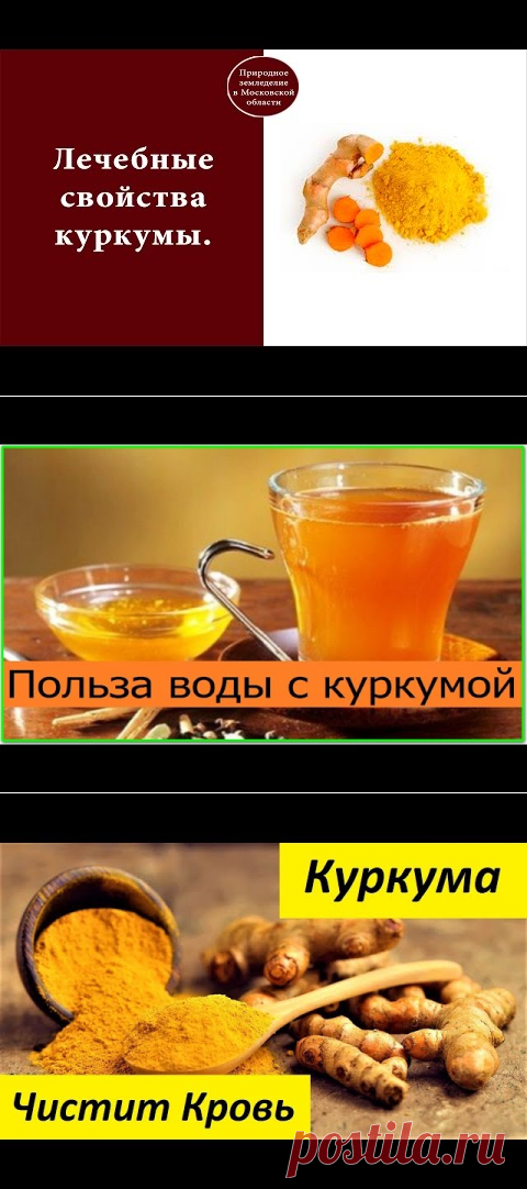 Полезные свойства куркумы и противопоказания. применение куркумы - АгрономWiki