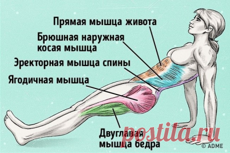 Упражнение, которое поможет сжечь жир и исправить осанку.