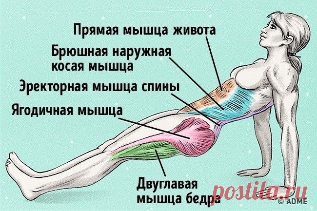 Упражнение, которое поможет сжечь жир и исправить осанку.