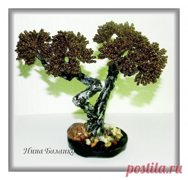 (95) Одноклассники