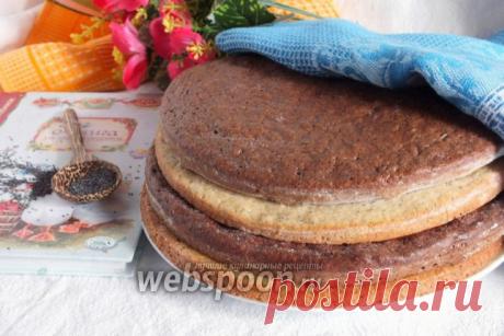 Коржи для торта «Полстакана» рецепт с фото, как приготовить на Webspoon.ru