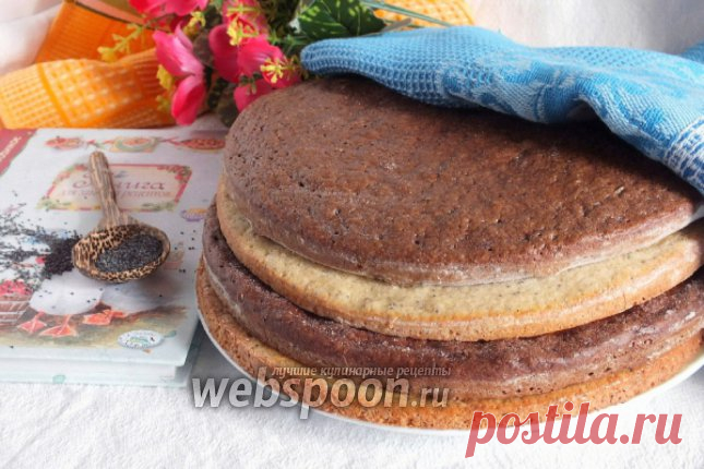 Коржи для торта «Полстакана» рецепт с фото, как приготовить на Webspoon.ru