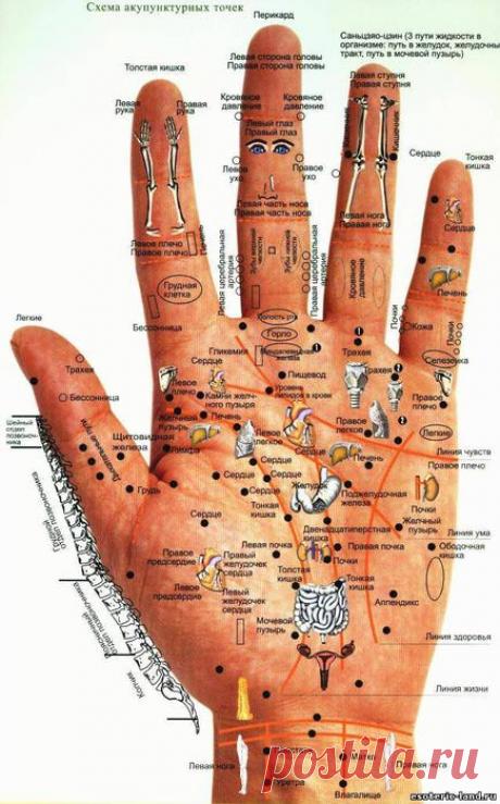 Диагностика, точки | Записи в рубрике Диагностика, точки | Дневник Lyudmila2807