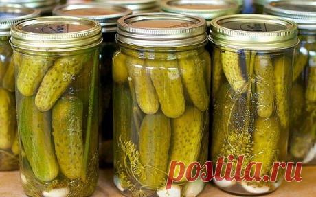 ХРУСТЯЩИЕ ОГУРЦЫ — НЕОБЫЧНЫЙ РЕЦЕПТ ПРИГОТОВЛЕНИЯ

В прошлом году увидела этот рецепт и сначала как то засомневалась. Но подкупило то, что очень быстро маринуются огурцы. Решила сделать пару баночек для пробы. Если раньше я очень много времени тратила на консервацию огурцов, то в этом случае все идет очень быстро.

Стояли огурцы хорошо, ни одна не бомбанула. Ну а когда открыли эти огурчики зимой, то я очень пожалела, что мало заготовила их.

Огурцы вышли хрустящие, если кт...