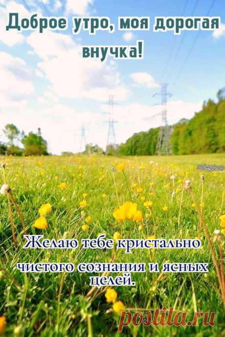 «Доброе утро внучке!»