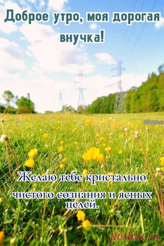 «Доброе утро внучке!»