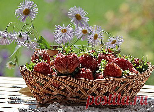 Выращивание клубники: пять советов как получить хороший урожай.