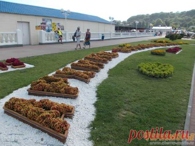 Клумба "Архипо-Осиповка"
