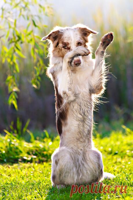 Magical Nature Tour  KBrusnika 