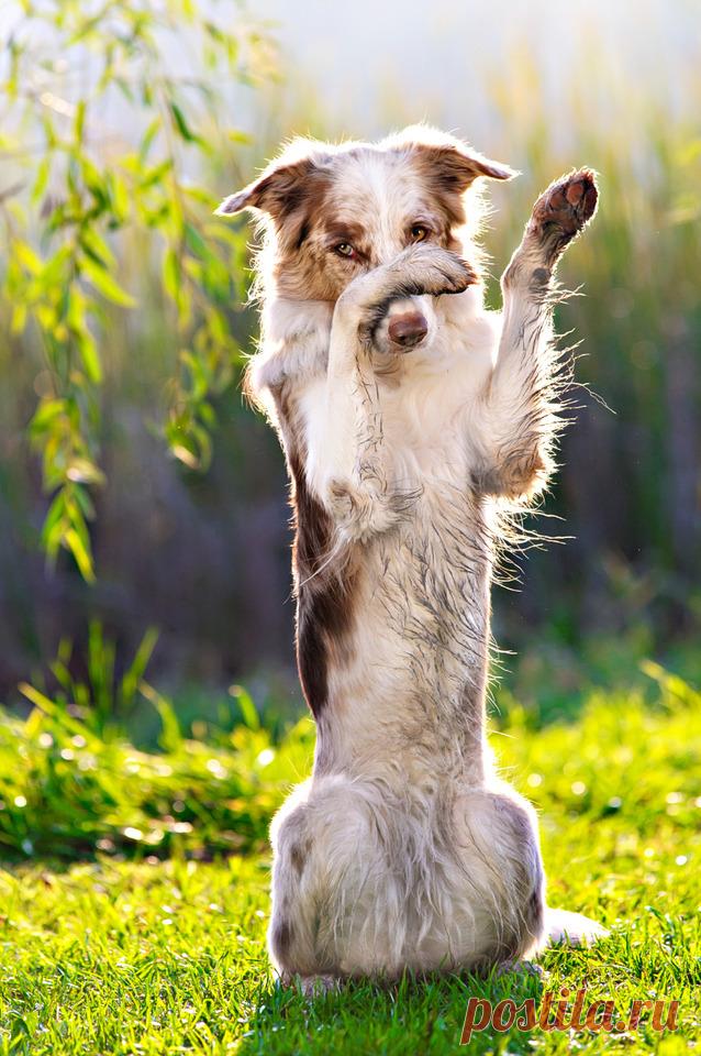 Magical Nature Tour  KBrusnika 