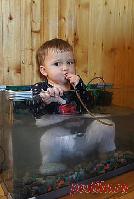 Водолаз...