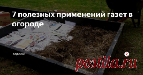 7 полезных применений газет в огороде За зиму у меня дома накапливается большая стопка газет. Я их не выбрасываю, а привожу весной на дачу и применяю их там с пользой для огорода. Речь идет не о любой печатной продукции, а именно о газетах, глянцевые журналы нам не подойдут.
Расскажу для чего я в дальнейшем их использую.
1. Для розжига
Это самый распространенный вариант. Бумага отлично горит, поэтому может быть использована для розжиг
