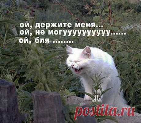 =)))))