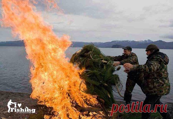 Мужикам респект! 👍 👍 👍 / Богатая добыча