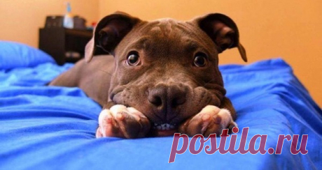 Prepare for 25 cute and funny animals!