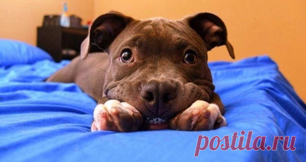 Prepare for 25 cute and funny animals!