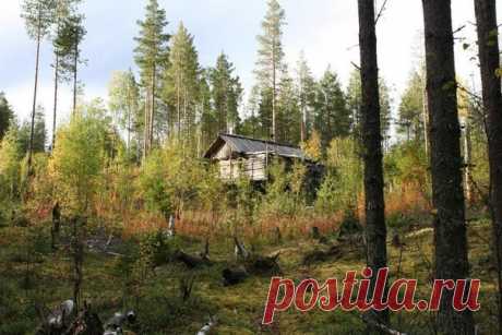 Советы охотнику 1. Веди активную борьбу с нарушениями правил и сроков охоты. Вступи в добровольный охотничий надзор. 2. Не применяй пыжи из бумаги, кудели и других легковоспламеняющихся материалов: этим ты предохранишь охотничьи угодья от пожаров. 3. Борись с выжиганием камышей, собиранием яиц дичи, ловлей уток крючками и т.д. 4. Уничтожай пернатых хищников: этим ты спасешь сотни выводков водоплавающей птицы. 5. Если убьешь птицу с кольцом на лапке, срочно сообщи номер и буквы, помеченные на…