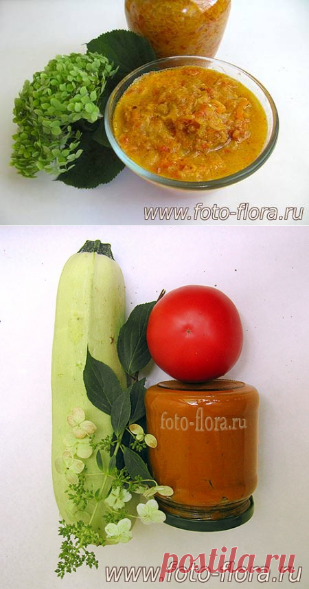 Вкусная кабачковая икра: рецепты на зиму с фото домашнего приготовления