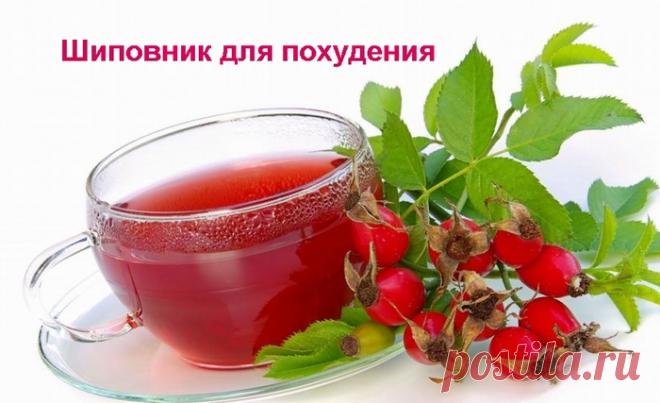 Шиповник для похудения.