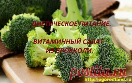 Витаминный салат из брокколи с йогуртом. Рецепт. / Брокколи - настоящая кладовая полезных для организма веществ и витаминов, в основном она богата большим содержанием бета-каротина. Брокколи предупреждает сердечно-сосудистые заболевания, заболевание раком, укрепляет иммунитет.