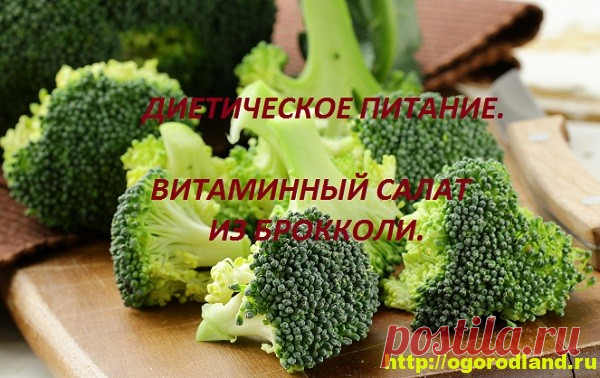 Витаминный салат из брокколи с йогуртом. Рецепт. / Брокколи - настоящая кладовая полезных для организма веществ и витаминов, в основном она богата большим содержанием бета-каротина. Брокколи предупреждает сердечно-сосудистые заболевания, заболевание раком, укрепляет иммунитет.