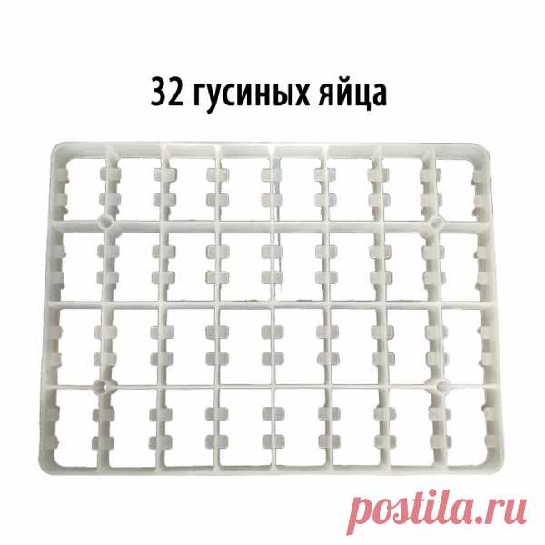Самый дешевый лоток для гусиных яиц (сотовый) в инкубатор (на 32 яица) в Москве