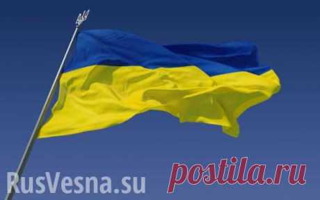 Украина: как выжить на $50 в месяц? (ВИДЕО) | Соратники