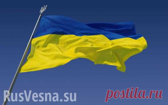 Украина: как выжить на $50 в месяц? (ВИДЕО) | Соратники