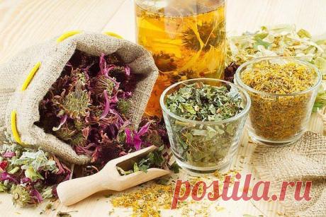 * * * * * * * * * * * *