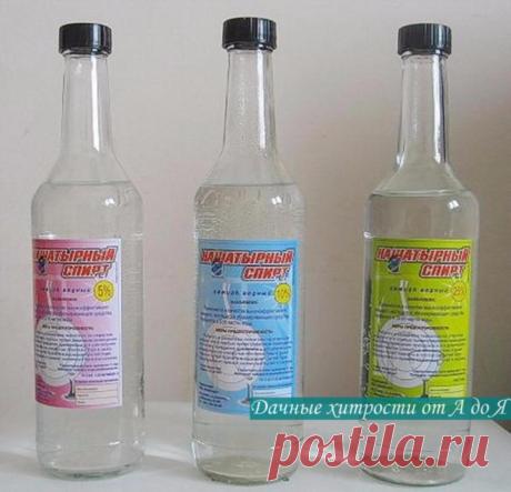 НАШАТЫРНЫЙ СПИРТ ПРОТИВ НАСЕКОМЫХ

 Иногда просто нет сил бороться с муравьями, которые бесконечными чередками появляются на кухне неизвестно откуда. 
Здесь поможет нашатырный спирт!

Надо добавить в 1 л воды 100 мл нашатыря и промыть этим раствором всю кухонную мебель. Не стоит опасаться специфического «аромата» — он выветривается за несколько минут. Для нас. 


А «квартиранты» будут ощущать его еще долго и забудут дорожку в ваш дом. 
 Еще нашатырь поможет от полчищ комар...