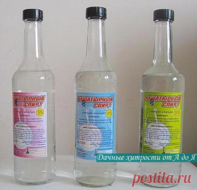 НАШАТЫРНЫЙ СПИРТ ПРОТИВ НАСЕКОМЫХ

 Иногда просто нет сил бороться с муравьями, которые бесконечными чередками появляются на кухне неизвестно откуда. 
Здесь поможет нашатырный спирт!

Надо добавить в 1 л воды 100 мл нашатыря и промыть этим раствором всю кухонную мебель. Не стоит опасаться специфического «аромата» — он выветривается за несколько минут. Для нас. 


А «квартиранты» будут ощущать его еще долго и забудут дорожку в ваш дом. 
 Еще нашатырь поможет от полчищ комар...