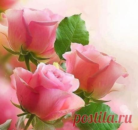 Мой Мир@Mail.Ru