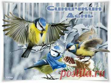 Сегодня принято кормить синиц и желать друг другу добра. Пусть ваши добрые слова, как зёрнышки, наполнят сердца теплом и радостью.
Открытки на Синичкин день