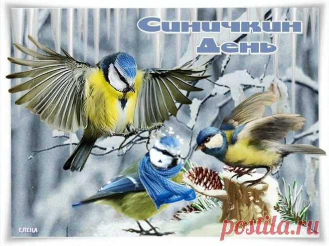 Сегодня принято кормить синиц и желать друг другу добра. Пусть ваши добрые слова, как зёрнышки, наполнят сердца теплом и радостью.
Открытки на Синичкин день