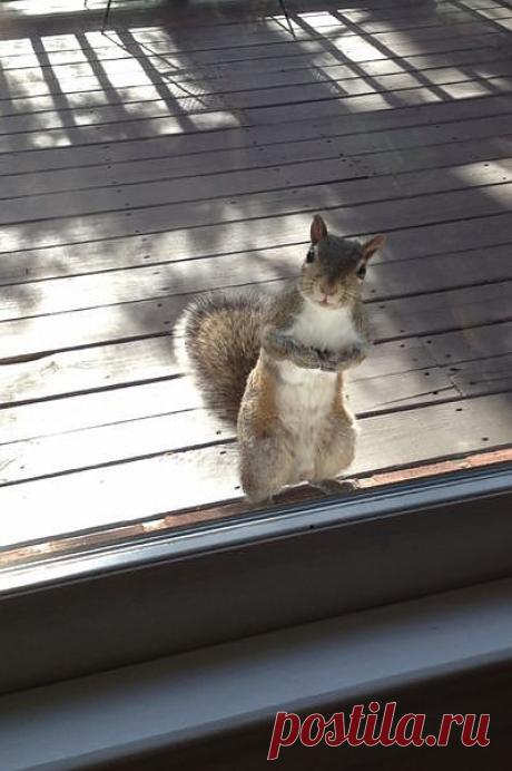 --Многоуважаемые!!!Не най дётся  ли у  вас
ненужных  орехов, гммм...семечек  или,  так сказать,,.  на крайний случай  ещё чего- нибудь...там  ..съестного, ...а ???