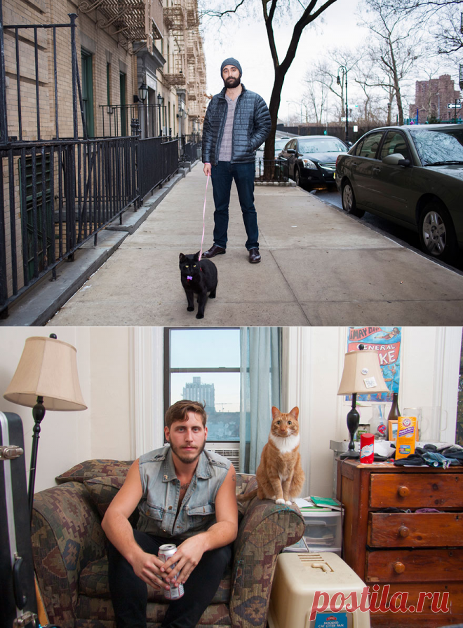 Когда мужчины и котики созданы для одного кадра — Фотошедевры