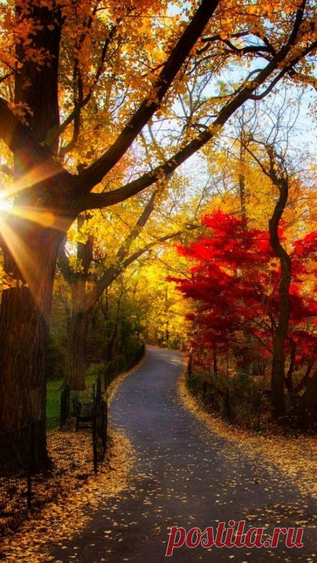 THE BEAUTY OF NATURE – Сообщество – Google+