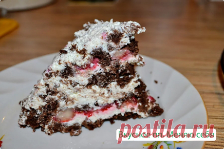 Торт панчо-пп. Шоколадный десерт без вреда для фигуры