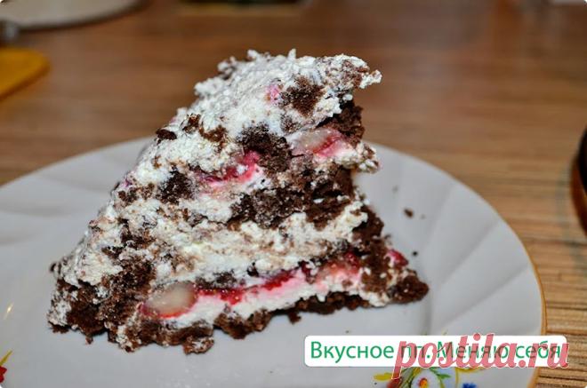 Торт панчо-пп. Шоколадный десерт без вреда для фигуры