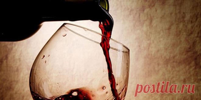 Как выбрать качественное вино для праздничного стола: Вино без фальши - allWomens