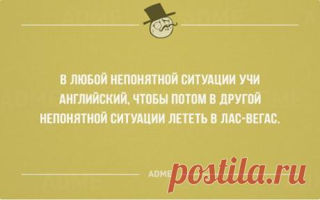 22 отчаянно веселых открытки