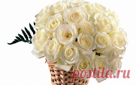 125878_1680_1050.jpg (1680×1050)