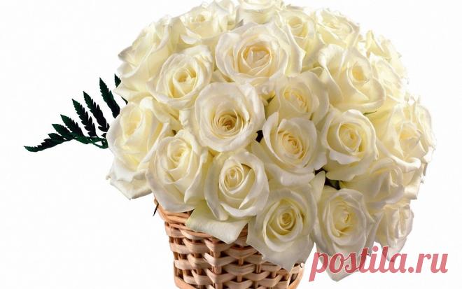 125878_1680_1050.jpg (1680×1050)