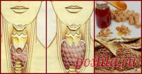 Смешайте по одному стакану гречневой крупы, грецких орехов и меда, и ваша щитовидка оживет