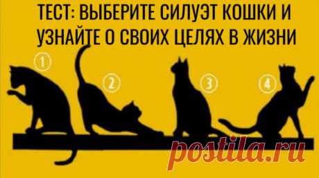 Выбранный силуэт кошки расскажет о ваших жизненных целях.