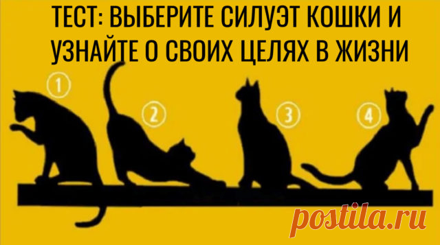 Выбранный силуэт кошки расскажет о ваших жизненных целях.