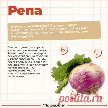 Репа польза
