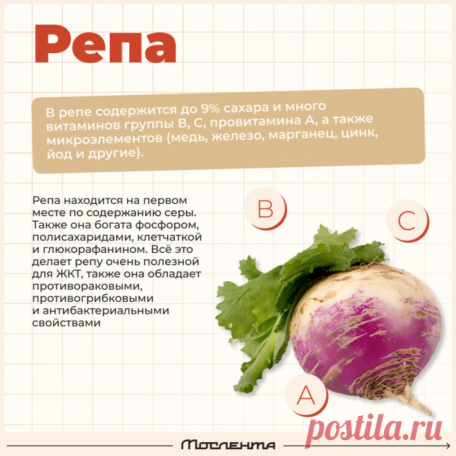Репа польза
