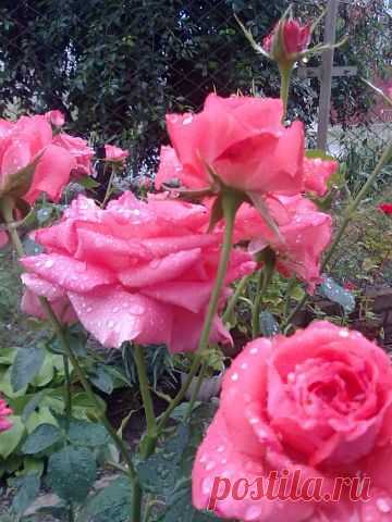 х х
6 лет, Украина, Лутугино
все её фото